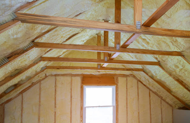 Best Local Insulation Services  in Pheasant Run, OH